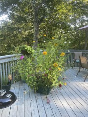 Come and tell me your dull and unexciting news 23: Calmly through the day 