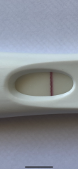 7-8dpo tests