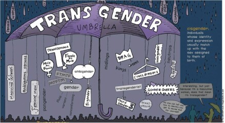Nans obsession with transgender