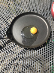 The great Eggsperiment taking place on 19th July/ Aka EGG WARS 