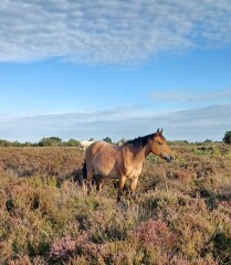 Come chat hiking with me!