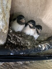 Come chat hiking with me!