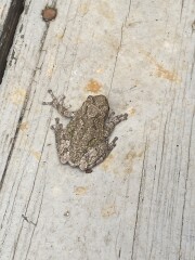 Come and tell me your dull and unexciting news 23: Calmly through the day 