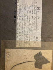 Do you remember doing project books, on random topics, in primary school?