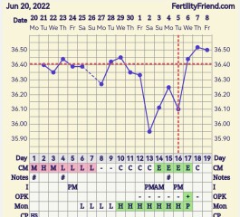 Please help explain my bbt chart