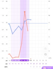 Please help explain my bbt chart
