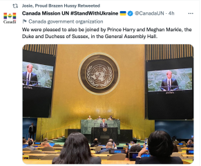 Harry's speech at the UN