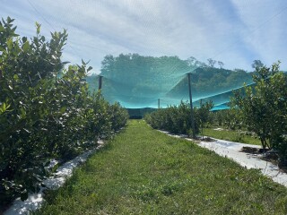 Come and tell me your dull and unexciting news 23: Calmly through the day 