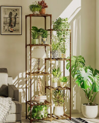 Conservatory plant display idea?