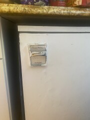 Cockroaches and flying spiders AIBU?
