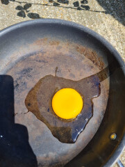 The great Eggsperiment taking place on 19th July/ Aka EGG WARS 