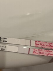 Line eyes please - is this an evap?