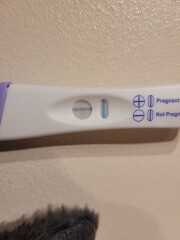 2 lines on first response but negative digital