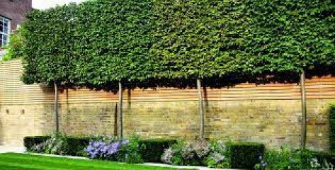 Privacy for open garden