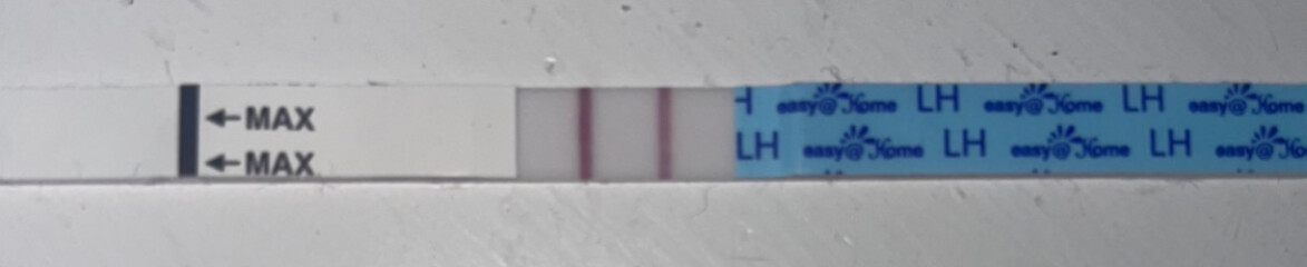 Am I ovulating?