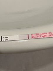 Line eyes please - is this an evap?