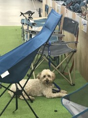 Come chat hiking with me!