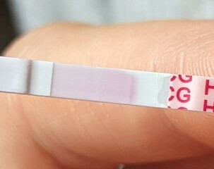 Cheapy test confusion.. line eyes please!