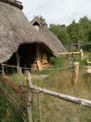 Come and tell me your dull and unexciting news 23: Calmly through the day 