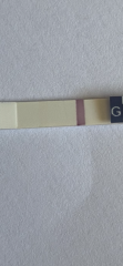 7-8dpo tests