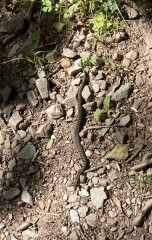 Nature Notes: the 2022 edition