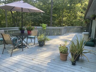 Come and tell me your dull and unexciting news 23: Calmly through the day 