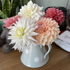 Who’s growing Dahlias this year