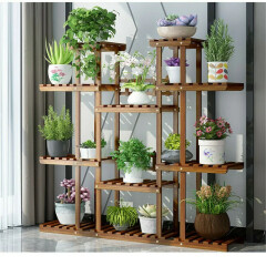Conservatory plant display idea?