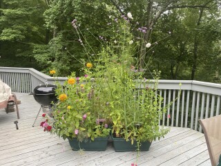 Come and tell me your dull and unexciting news 23: Calmly through the day 