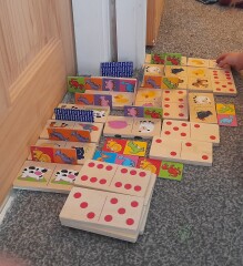 Traits in younger sibling