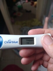 Babies due April 2023