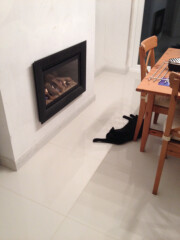 Large, High Gloss Floor Tiles in Kitchen