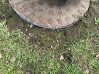 Worried about big cracks in my lawn 