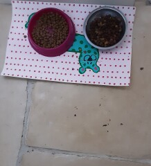Why?