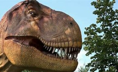 What has broken into our locked food waste caddy?!