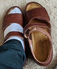 Advice on Birkenstocks