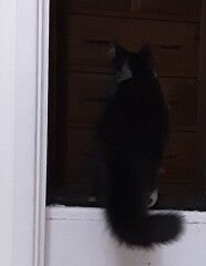 Come and tell me your dull and unexciting news 23: Calmly through the day 