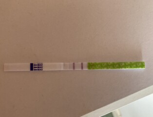 Hoping for a BFP in July/august
