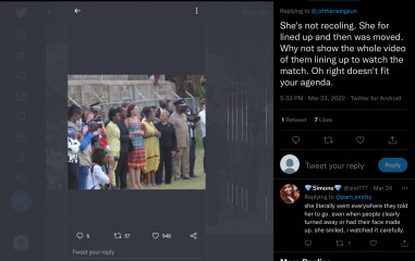 Camilla not the Royal Harry said made racist comments