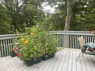 Come and tell me your dull and unexciting news 23: Calmly through the day 