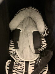 Pushchair conundrum 