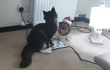 Come and tell me your dull and unexciting news 23: Calmly through the day 