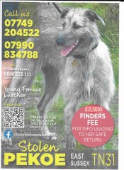 Dog theft is real - we are going through it right now!