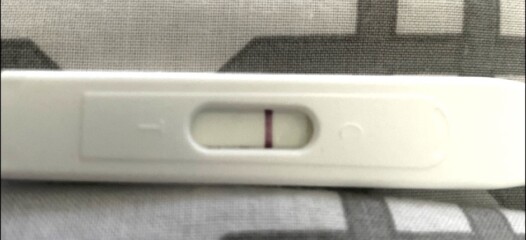 Is this a positive preg test or am i absolutely crazy?