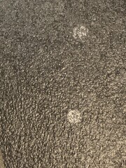 My Kitchen Tiles have Chicken Pox!!