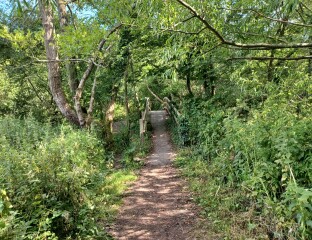 Come chat hiking with me!