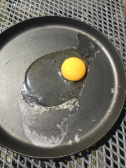 The great Eggsperiment taking place on 19th July/ Aka EGG WARS 