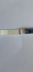 7-8dpo tests