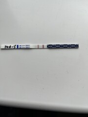 Medicated FET what day was your transfer?