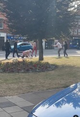 The one where Big Dog gets poop scooped Thread 10